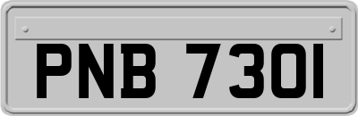 PNB7301