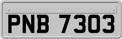 PNB7303