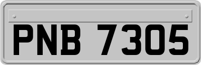 PNB7305