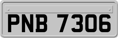 PNB7306
