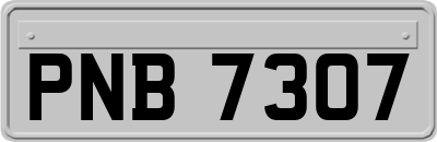 PNB7307
