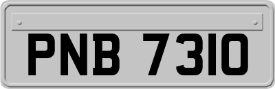 PNB7310