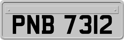 PNB7312