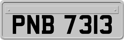 PNB7313