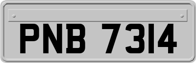 PNB7314
