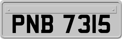 PNB7315