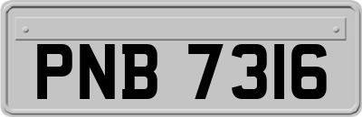 PNB7316