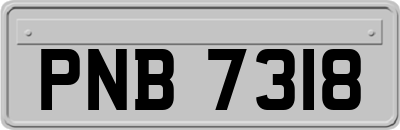 PNB7318