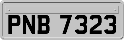 PNB7323