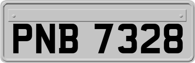 PNB7328