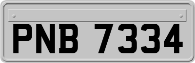 PNB7334