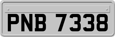 PNB7338