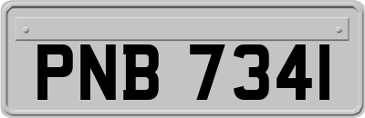 PNB7341