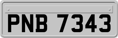PNB7343