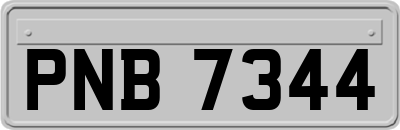 PNB7344