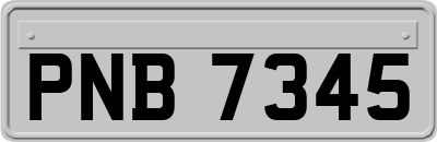 PNB7345