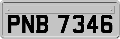 PNB7346