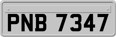 PNB7347