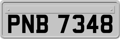 PNB7348