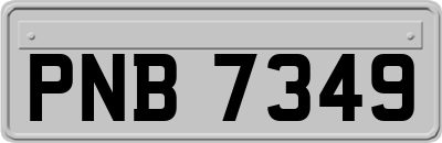 PNB7349