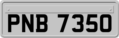 PNB7350