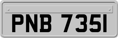 PNB7351