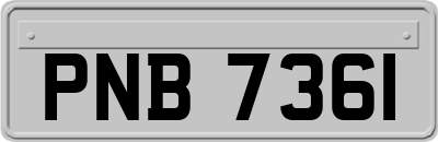 PNB7361