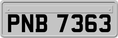 PNB7363