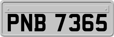 PNB7365