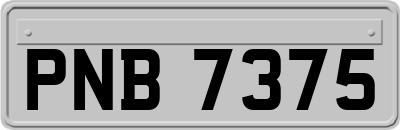 PNB7375