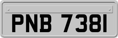 PNB7381