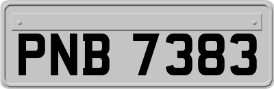 PNB7383