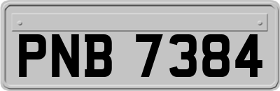 PNB7384