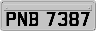 PNB7387