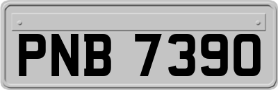 PNB7390