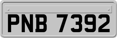 PNB7392