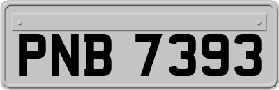 PNB7393