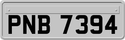 PNB7394