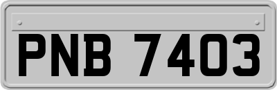 PNB7403