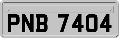 PNB7404