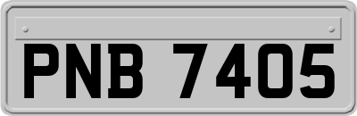 PNB7405