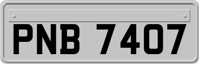 PNB7407
