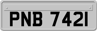 PNB7421