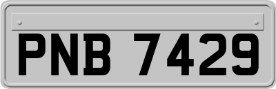 PNB7429