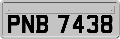 PNB7438