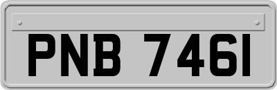 PNB7461