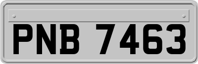 PNB7463