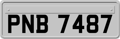 PNB7487