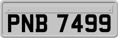 PNB7499