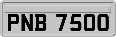 PNB7500